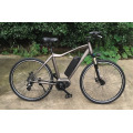 48V 350W Disc Brake E-Bike